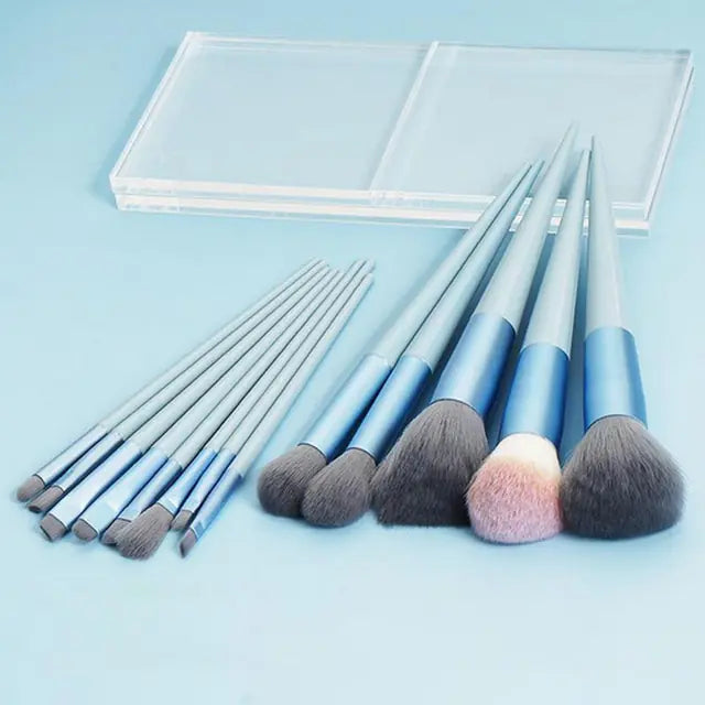 Premium Makeup Brushes Set